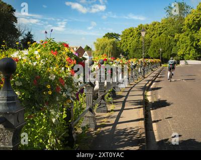 Saint Helen's Wharf est un lieu de beauté remarquable sur la Tamise, juste en amont du pont médiéval à Abingdon-on-Thames. Le quai a été pendant des siècles une importante liaison de transport et de navigation jusqu'à la Tamise et entre les canaux d'Oxford et les Midlands. Les belles maisons de marchands côtoient les maisons d'aumônes et l'église Saint Helens de l'époque saxonne. Ici, nous voyons le quai, vu par une belle journée de mi-été, resplendissant avec des paniers floraux vifs et débordants. Banque D'Images