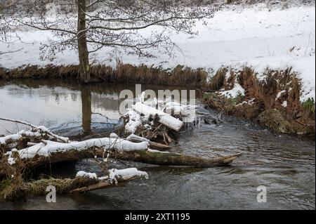 Petit barrage construit par des castors, endiguant un petit plan d'eau avec du bois et de la neige Banque D'Images