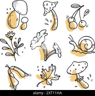 Ensemble de plantes forestières d'automne : champignons, feuilles, baies. Saison d'automne. Illustrations vectorielles dessinées à la main. Collection automne. Ensemble de isolé Illustration de Vecteur