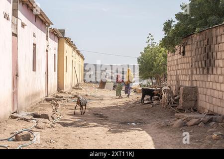 Maisons de ville de Dikhil au sud de Djibouti, Corne de l'Afrique Banque D'Images