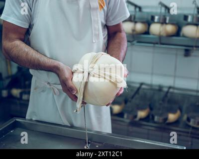 Mains artisanales enveloppant soigneusement un fromage Mahon frais dans un tissu dans une installation de production laitière, avec des roues de vieillissement de fromage en arrière-plan Banque D'Images