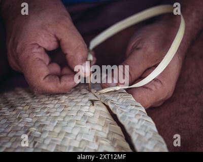 Un gros plan détaillé capture les mains habiles d'un artisan alors qu'ils tissent un panier à partir de bandes de palmito, mettant en valeur l'art de la traditiona Banque D'Images