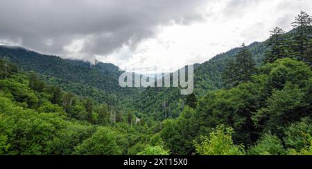 Magnifique paysage pittoresque du nouveau Gap dans les Smoky Mountains depuis Morton Overlook dans le parc national des Great Smoky Moutains. Banque D'Images