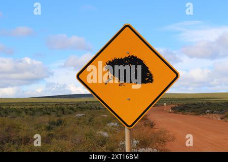 Panneau d'avertissement de trafic d'animaux sauvages avec échidna dans l'outback australien, parc national de Leseuer, Australie occidentale Banque D'Images