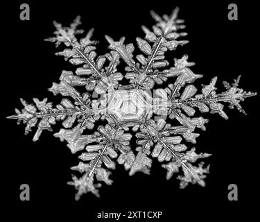 Plan macro d'un flocon de neige unique avec des motifs complexes sur fond noir. Aurora, Colorado États-Unis peja00001 Copyright : xConnectxImagesx Banque D'Images