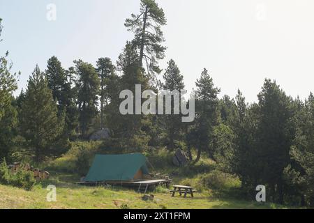 Une tente en toile verte nichée parmi les arbres dans une forêt sereine clairsemée d'une table de pique-nique en bois à proximité. Bola02476 Copyright : xConnectxImagesx Banque D'Images