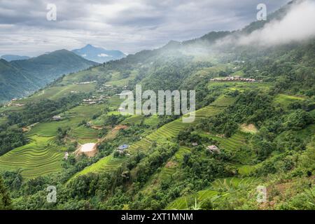 Belles terrasses vertes de riz dans le district de Hoang Su Phi de la province de Ha Giang, au nord du Vietnam Banque D'Images