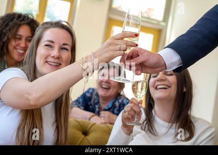 Les amis grillent joyeusement avec des verres à champagne lors d'une célébration à l'intérieur, avec des expressions joyeuses. Panc05639 Copyright : xConnectxImagesx Banque D'Images