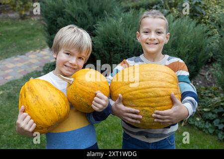 Deux petits garçons s'amusent à récolter des citrouilles et à se préparer pour Halloween. Récolte d'automne, les frères aident les parents. Banque D'Images