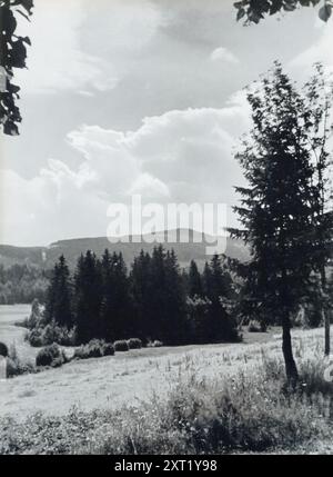 La photographie montre le Falkenberge en Silésie, une partie des hautes terres allemandes. Cette région, qui faisait partie de l'Allemagne avant et pendant la seconde Guerre mondiale, est représentée pour mettre en valeur la beauté naturelle et la diversité géographique du Reich allemand. L'image aurait été utilisée dans la propagande nazie pour encourager la fierté nationale et souligner l'unité du peuple allemand avec le paysage de leur patrie. Banque D'Images