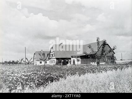 Une photographie capture des terres agricoles nouvellement cultivées, un symbole de l'idéologie «Blut und Boden» (sang et sol) du régime nazi. Ce concept glorifiait la vie rurale et la paysannerie allemande comme fondement de la nation. L'image a probablement servi de propagande, soulignant l'importance de l'expansion agricole et de l'autosuffisance dans le cadre des objectifs plus larges de l'Allemagne pendant la seconde Guerre mondiale, y compris la colonisation des territoires occupés. Banque D'Images