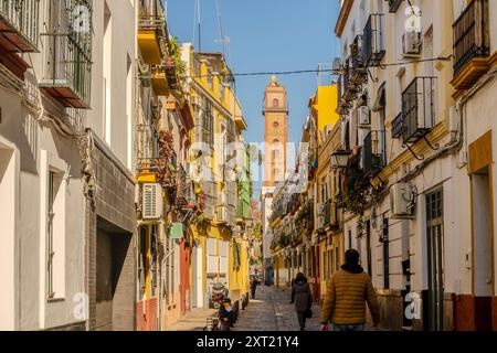 Rue de charme, Pasaje Del marqués de Esquivel (Casco Antiguo), à Séville, Espagne Banque D'Images