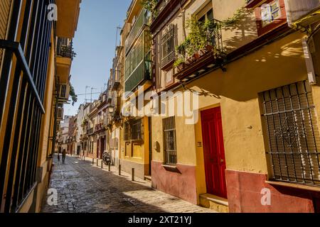 Rue de charme, Pasaje Del marques de Esquivel (Casco Antiguo), à Séville, Espagne Banque D'Images