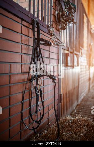 Bride de cheval accrochée au mur d'une écurie équestre, murs de briques brunes, lumière chaude du soleil dans le style d'une écurie équestre Banque D'Images