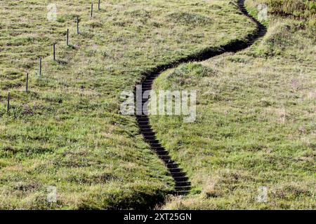 Gros plan d'une section escarpée du South West Coast Path, à Pentargon Cove, près de Boscastle, Cornouailles, Royaume-Uni Banque D'Images