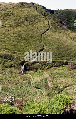 Vue grand angle d'une section escarpée du sentier de la côte sud-ouest, à Pentargon Cove, près de Boscastle, Cornouailles, Royaume-Uni Banque D'Images