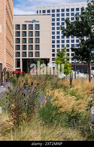 Espace vert dans le MesseCity dans le quartier Deutz, sur la gauche le bâtiment Saint-Lazare, le Motel One Hotel et la tour Centraal, Cologne, G. Banque D'Images