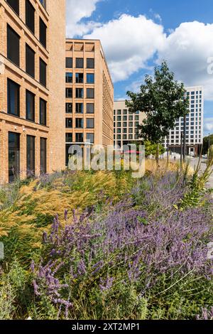 Espace vert dans le MesseCity dans le quartier Deutz, sur la gauche le bâtiment Saint-Lazare, le Motel One Hotel et la tour Centraal, Cologne, G. Banque D'Images