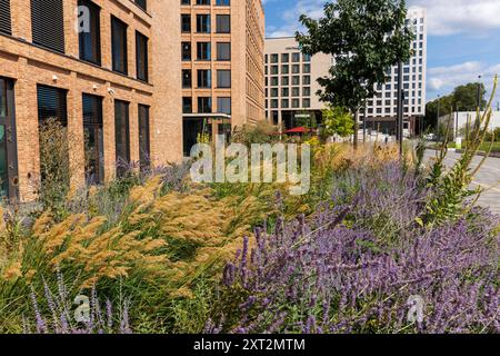 Espace vert dans le MesseCity dans le quartier Deutz, sur la gauche le bâtiment Saint-Lazare, le Motel One Hotel et la tour Centraal, Cologne, G. Banque D'Images