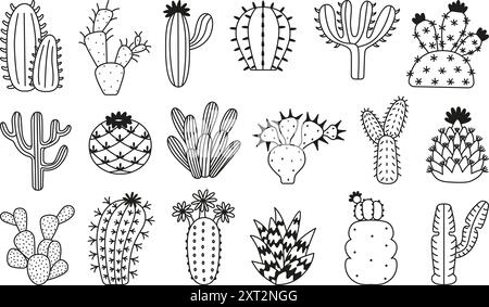 Simple doodle cactus. Ligne de plantes de cactus, kit de succulentes pour le jardin à la maison. Plantes du désert, mexique arizona texas flore. Plante florale du sud, néotérique Illustration de Vecteur