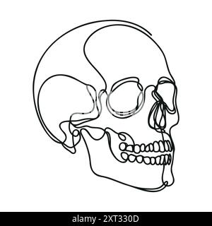 Scull humain. Une ligne continue crâne d'Halloween isolé sur fond blanc. Illustration vectorielle de contour de dessin au trait Illustration de Vecteur