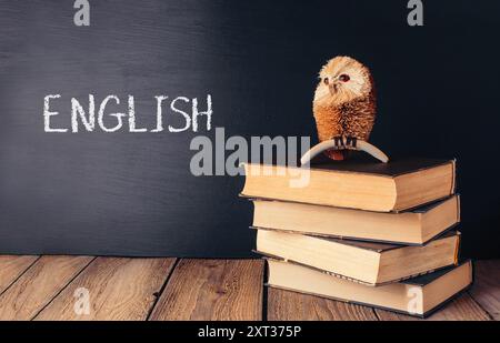 Un petit hibou est assis sur une pile de livres. Les livres sont disposés en forme de pyramide, avec le hibou assis au-dessus du livre du milieu. Le hibou Banque D'Images