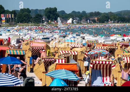 Voller Sommerstrand in Scharbeutz Das Bild zeigt einen vollen Strand in Scharbeutz an der Ostseeküste an einem sonnigen heißen Sommertag. Der Strand ist dicht besetzt mit Strandkörben, bunten Sonnenschirmen und zahlreichen Badegästen, die das warme Wetter genießen. IM Wasser tummeln sich Menschen, die schwimmen oder einfach im seichten Wasser stehen. An vielen Orten in Deutschland könnte es heute der bislang heißeste Tag des Jahres werden. Scharbeutz Schleswig-Holstein Deutschland *** plage d'été complète à Scharbeutz L'image montre une plage complète à Scharbeutz sur la côte de la mer Baltique sur un chaud Banque D'Images