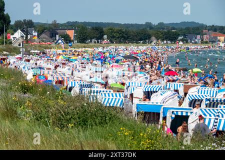 Voller Sommerstrand in Scharbeutz Das Bild zeigt einen vollen Strand in Scharbeutz an der Ostseeküste an einem sonnigen heißen Sommertag. Der Strand ist dicht besetzt mit Strandkörben, bunten Sonnenschirmen und zahlreichen Badegästen, die das warme Wetter genießen. IM Wasser tummeln sich Menschen, die schwimmen oder einfach im seichten Wasser stehen. An vielen Orten in Deutschland könnte es heute der bislang heißeste Tag des Jahres werden. Scharbeutz Schleswig-Holstein Deutschland *** plage d'été complète à Scharbeutz L'image montre une plage complète à Scharbeutz sur la côte de la mer Baltique sur un chaud Banque D'Images