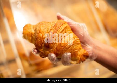 Les mains tiennent un grand croissant sur le fond d'un comptoir de magasin flou. Banque D'Images