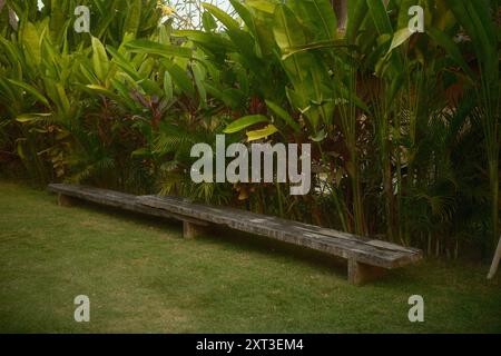 Banc en bois extérieur moderne de style rustique dans un jardin tropical herbeux entouré de plantes heliconia Banque D'Images