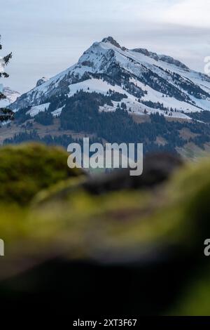 Paysage hivernal pittoresque d'un sommet de montagne enneigé en Suisse, entouré d'un premier plan verdoyant Une représentation sereine de la beauté du vin suisse Banque D'Images
