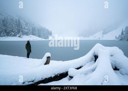 Une personne se tient debout en contemplant un lac serein et enneigé en Suisse, entouré d'arbres givrés et d'un paysage paisible et silencieux Banque D'Images