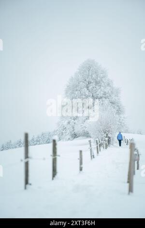 Une scène hivernale sereine en Suisse, mettant en scène une personne marchant le long d'un chemin enneigé bordé d'arbres givrés et de clôtures en bois, sous une couverture o Banque D'Images