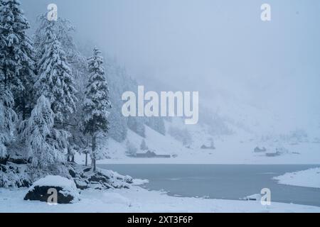 Une scène hivernale sereine en Suisse avec un paysage enneigé avec des pins et un lac partiellement gelé sous un ciel gris et nuageux et de la neige- Banque D'Images