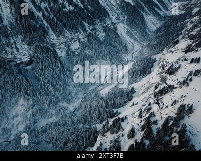 Vue aérienne d'une vallée en Suisse couverte de neige, mettant en valeur des forêts denses et une rivière sinueuse au milieu de sommets enneigés Banque D'Images