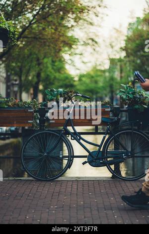 Une scène sereine capture un vélo bleu classique garé près d'un canal à Amsterdam. Complétée par une façade de plantes feuillues, cette image évoque la paix Banque D'Images
