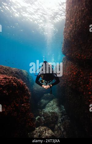 Une plongeuse glisse dans un étroit canyon sous-marin, entouré d'une flore marine aux couleurs vives. La lumière du soleil filtre vers le bas, éclairant la scène. S Banque D'Images
