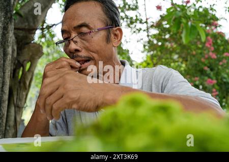 Un vieil homme vietnamien, portant des lunettes, se concentre méticuleusement sur la couture de tissu à l'extérieur, entouré de verdure vibrante et de fleurs en fleurs, showc Banque D'Images