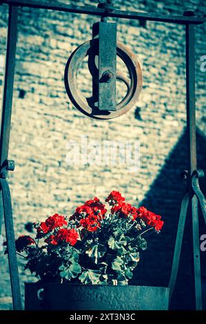 Vieille eau rouillée bien décorée avec des fleurs de géranium et mur de pierre à l'arrière-plan. Village de Saint Père en Bourgogne, France. Un jeu d'ombre et de lumière Banque D'Images