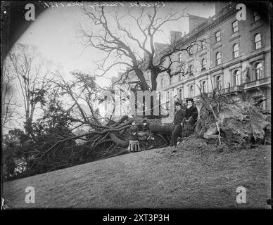 The Cedars, Ranelagh Road, Putney, Wandsworth, Greater London Authority, 1881. un arbre tombé devant les cèdres. Cette photographie apparaît dans 'William Fields's Photographs of Putney', compilé par Dorian Gerhold et Michael Bull pour la Wandsworth Historical Society. Banque D'Images