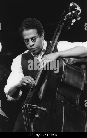 Stanley Clarke, 1995 ans. Banque D'Images