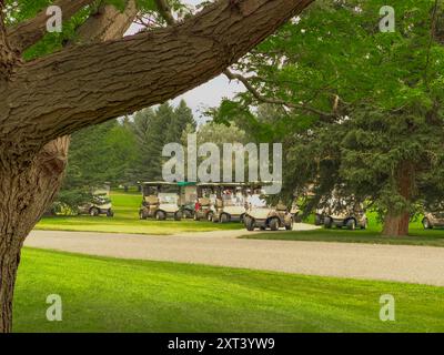 De nombreuses voiturettes de golf sur le fairway du terrain de golf sont garées près d'une route ou d'un chemin avec de l'herbe verte et des arbres entourant un paysage luxuriant en été. Banque D'Images