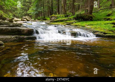 Mummelfall, Wasserfall der Mummel BEI Harrachsdorf im Riesengebirge, Tschechien *** Mummelfall, Mummel cascade près de Harrachsdorf dans la montagne géante Banque D'Images