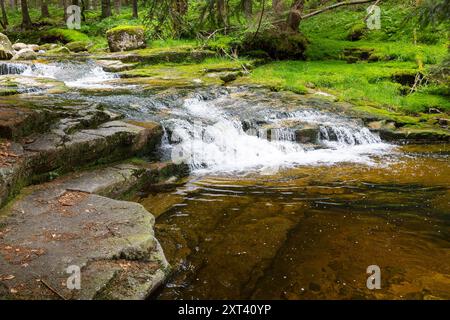 Mummelfall, Wasserfall der Mummel BEI Harrachsdorf im Riesengebirge, Tschechien *** Mummelfall, Mummel cascade près de Harrachsdorf dans la montagne géante Banque D'Images