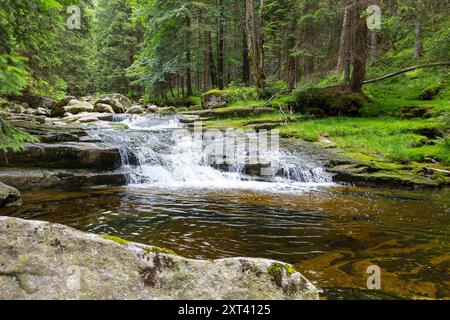 Mummelfall, Wasserfall der Mummel BEI Harrachsdorf im Riesengebirge, Tschechien *** Mummelfall, Mummel cascade près de Harrachsdorf dans la montagne géante Banque D'Images