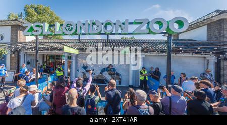 Les fans se rassemblent pour voir la dernière pièce de Banksy dans la série animalière londonienne devant le zoo de Londres. Banque D'Images