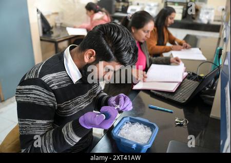 INDE, Ludhiana, PAU Punjab Agricultural University, Biotechnology Department, Lab / INDIEN, Ludhiana, Punjab landwirtschaftliche Universität, biotechnologie Abteilung, Labor Banque D'Images