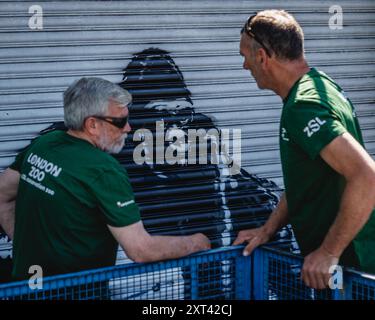 La dernière pièce de Banksy dans la série animalière londonienne dans laquelle il peint un gorille libérant des animaux et des oiseaux sur les volets vus par le personnel de ZSL. Banque D'Images