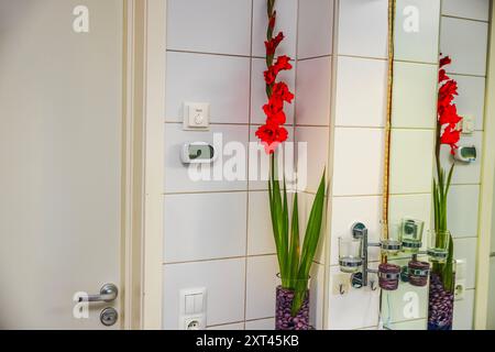 Élégante salle de bains avec glaïeule rouge dans un grand vase en cristal sur le comptoir, à côté d'un miroir et d'un lavabo avec accessoires. Banque D'Images