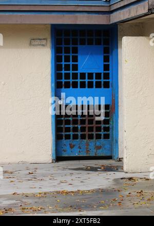 porte bleue royale contre mur pâle Banque D'Images